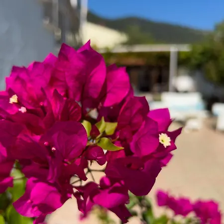 公寓式酒店 Romantika 3*