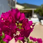 Aparthotel Romantika 3*