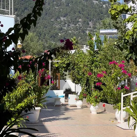 Romantika Appart hôtel Chrysi Ammoudia