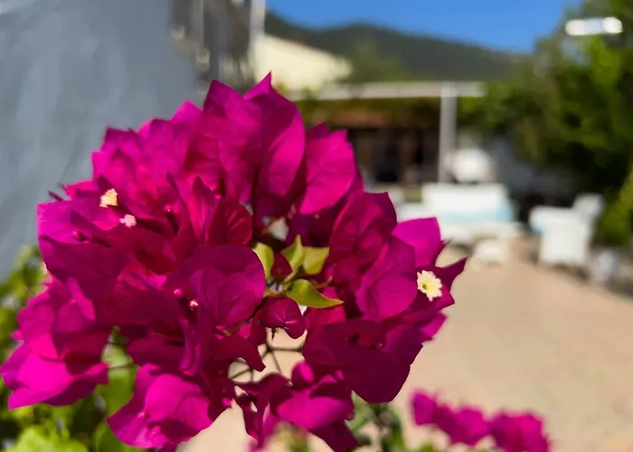 Apart-hotel Romantika 3*